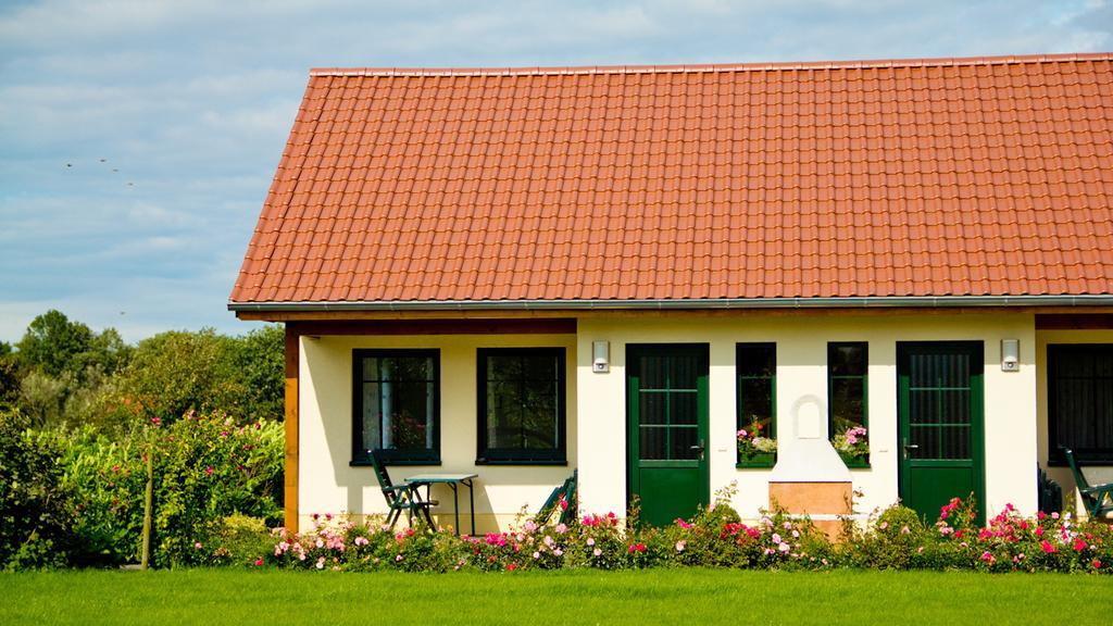 Ferienwohnung Hof Maiweg Alt Schonau Dış mekan fotoğraf